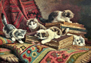 Gatinhos brincando em uma pilha de livros