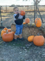 pumpkins & baby