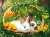 Coelhinhos bonitos do bebê em uma cesta