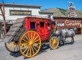 Carruagem de cavalo em Jackson Hole WY, EUA