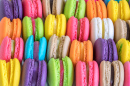 Macarons franceses coloridos em close-up