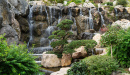 Beautiful Landscape With Waterfall Falling From Stone Wall In Paradise Landscape Park. Selective Focus. In Foreground Are Pine B