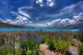 Lago Tekapo, Nova Zelândia