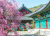 Palácio Gyeongbokgung com flor de cerejeira