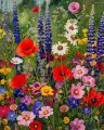 wild flowers with poppies and daisies