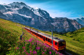 Trem turístico em Grindelwald, Suíça