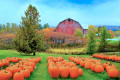 Remendo de abóbora de outono e celeiro vermelho, Vermont, EUA