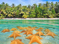 Estrela do mar debaixo d'água no fundo arenoso, mar do Caribe