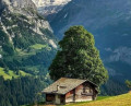 Lonely Mountain Cabin