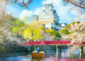 Castelo de Himeji com flor de cerejeira, Osaka, Japão