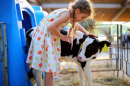 Em uma fazenda de vacas em um dia de verão