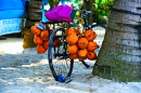 Frutas tropicais em uma praia tropical no Sri Lanka