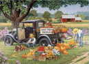 Home Grown - John Sloane