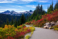 Parque Nacional Mount Rainier, Estado de Washington, EUA