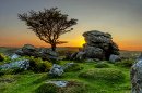 Saddle Tor, Dartmoor, Devon, Inglaterra