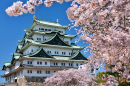 Castelo de Nagoya na primavera, Japão