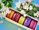 Macarons em uma Caixa de Presente