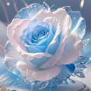 Pale Blue and White Rose