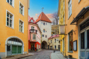 Cidade Antiga de Tallinn, Estônia