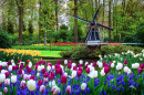 Famoso Jardim Keukenhof, Holanda