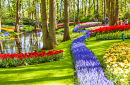 Parque Real Keukenhof, Lisse, Holanda
