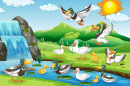 Patos Engraçados