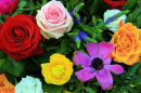 Belo arranjo floral