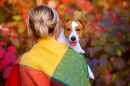 Menina e Jack Russell Terrier em um Parque
