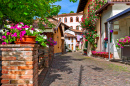 Rua Estreita de Paralelepípedos em Barolo, Itália