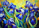 Íris em azul e amarelo