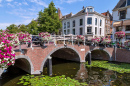 Ponte sobre um canal e casas em Leiden