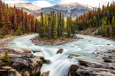 Cataratas Sunwapta no Parque Nacional Jasper, Alberta, Canadá