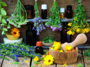 Ervas e Flores Medicinais