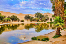 Oásis de Huacachina pela Manhã, Peru