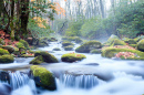 Parque Nacional das Grandes Montanhas Fumegantes, EUA