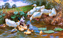 Família dos Patos à Beira da Água