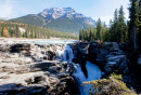Cachoeiras Athabasca no Parque Nacional Jasper