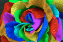 Macro de uma Rosa Arco-Íris