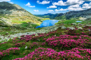 Parque Nacional de Retezat, Cárpatos, Romênia