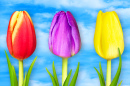 Belas tulipas contra um céu azul