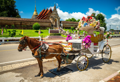 Tour de Carruagem puxada por Cavalos em Lampang, Tailândia