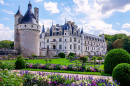 Château de Chenonceau no Vale do Loire, França