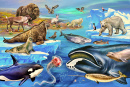 Fauna da Tundra e do Oceano Ártico