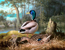 Patos de Ferdinand von Wright (1873)