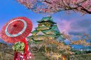 Flores de cerejeira ao redor do Castelo de Osaka no Crepúsculo, Japão