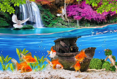 Bela Colagem com Peixinhos Dourados