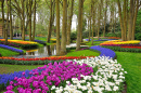 Colorido Parque Keukenhof, na Holanda