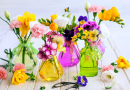 Lindas flores frescas em garrafas de vidro