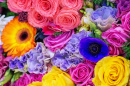 Fundo Floral Colorido