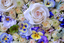 Belo arranjo floral de violetas e rosas